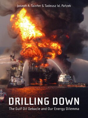 cover image of Drilling Down